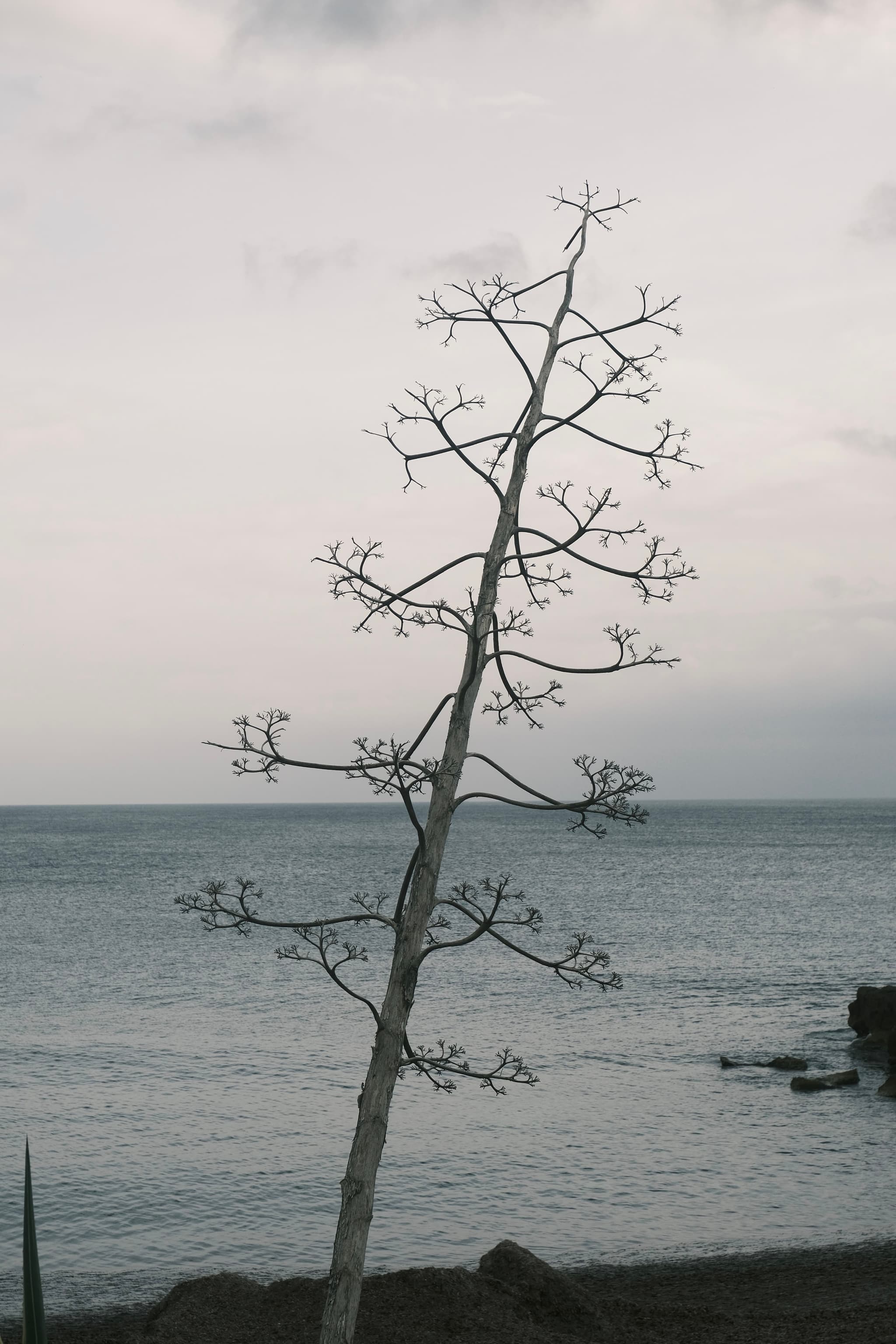 Sardegna