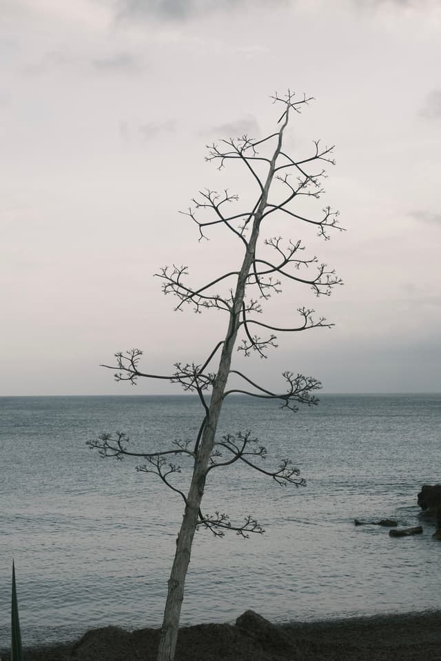 Sardegna